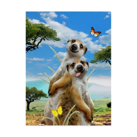 Howard Robinson 'Meerkat Friends' Canvas Art,18x24